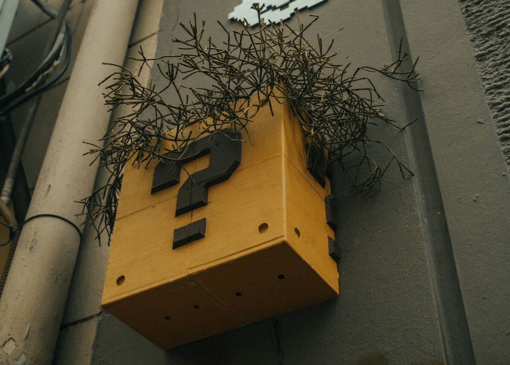 Das Bild zeigt ein gelben Betonblumenkasten an einer Fassade, welcher mit einem Fragezeichen als dekoratives Element verschönert wurde. Das Bild steht symbolisch für die Überlegungen des Bauherrn über die weitere Vorgehensweise eines Bauvorhabens. Das Anklicken des Teaser führt zu einem Flussschema, welches über die unterschiedlichen Handlungsweisen informiert.