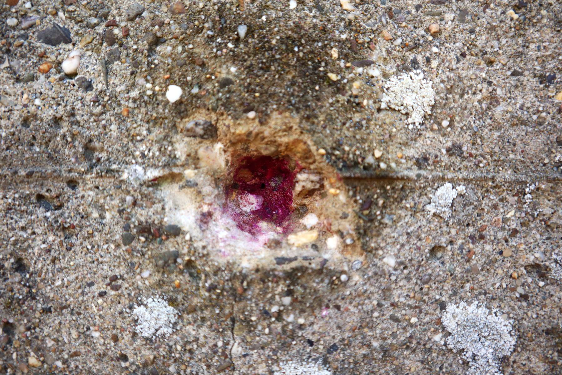 Prüfung der Karbonatisierungsfront mit Phenolphthalein Das Bild zeigt die Prüfung der Karbonatisierung eines Betons mit Phenolphthalein. Der Bereich des Betons, welcher karbonatisiert ist, färbt sich nicht. Hingegen ist der nicht karbonatisierte ("gesunde") Beton satt rot-violett gefärbt.