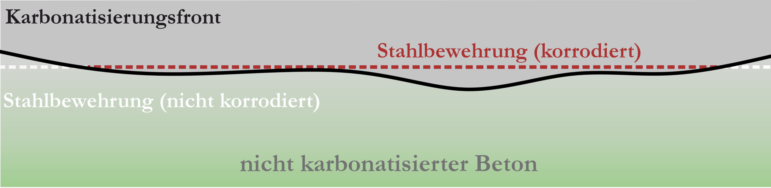 Schematischer Prozess der Karbonatisierung Die schematische Grafik zeigt den Verlauf der Karbonatisierungsfront innerhalb eines Betons. Dort, wo die Karbonatisierung den oberflächennahen Stahl erreicht hat, ist die Wahrscheinlichkeit der Korrosion stark erhöht.